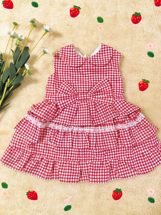 Red Gingham Pet Handmade Dress