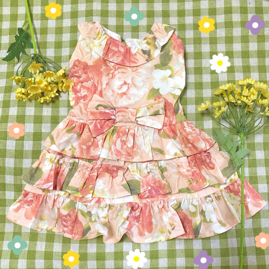 Lolita Pet Handmade Dress