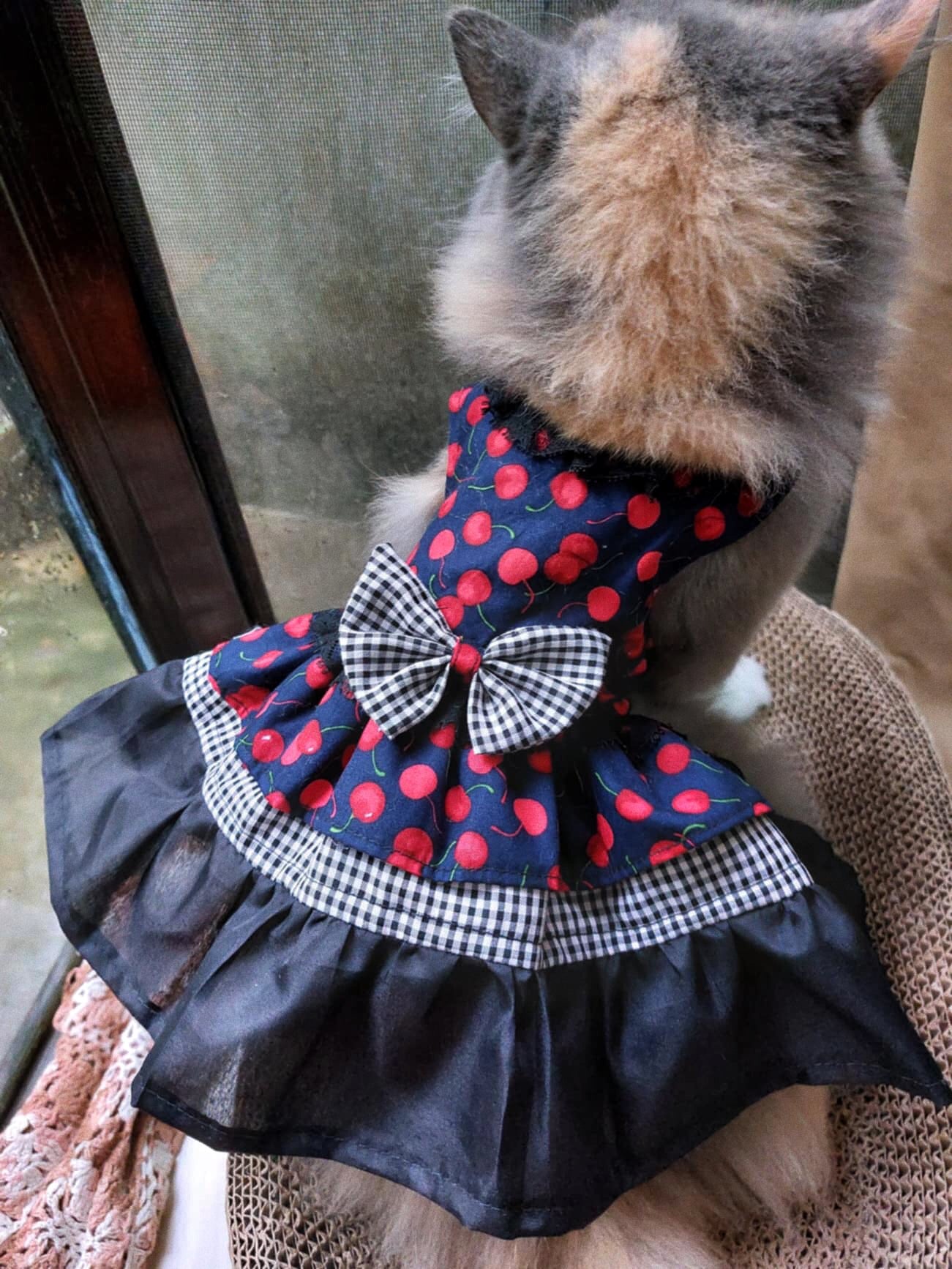 Cherry Black Ruffle Pet Handmade Dress