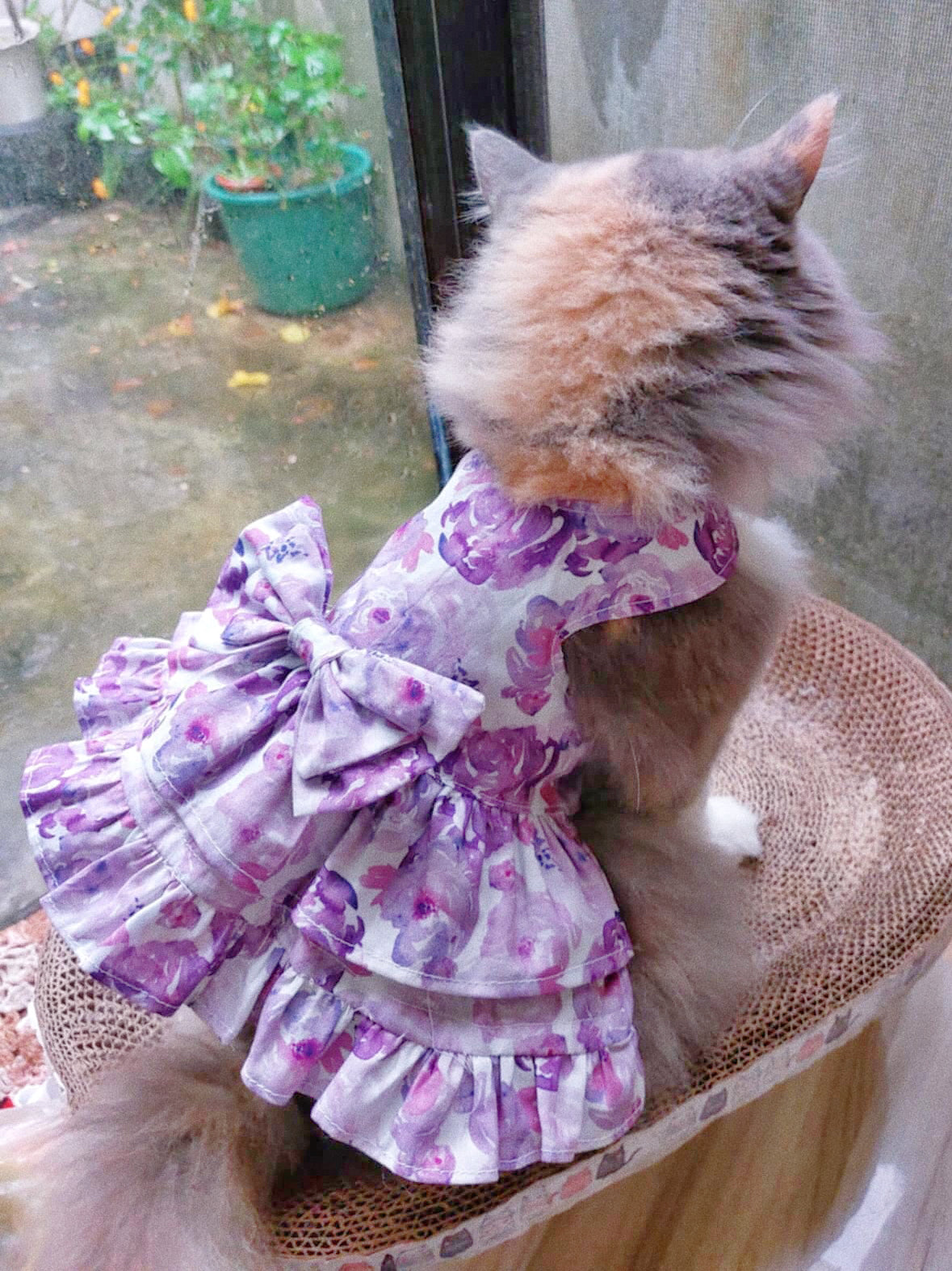 Purple Flower Pet Handmade Dress