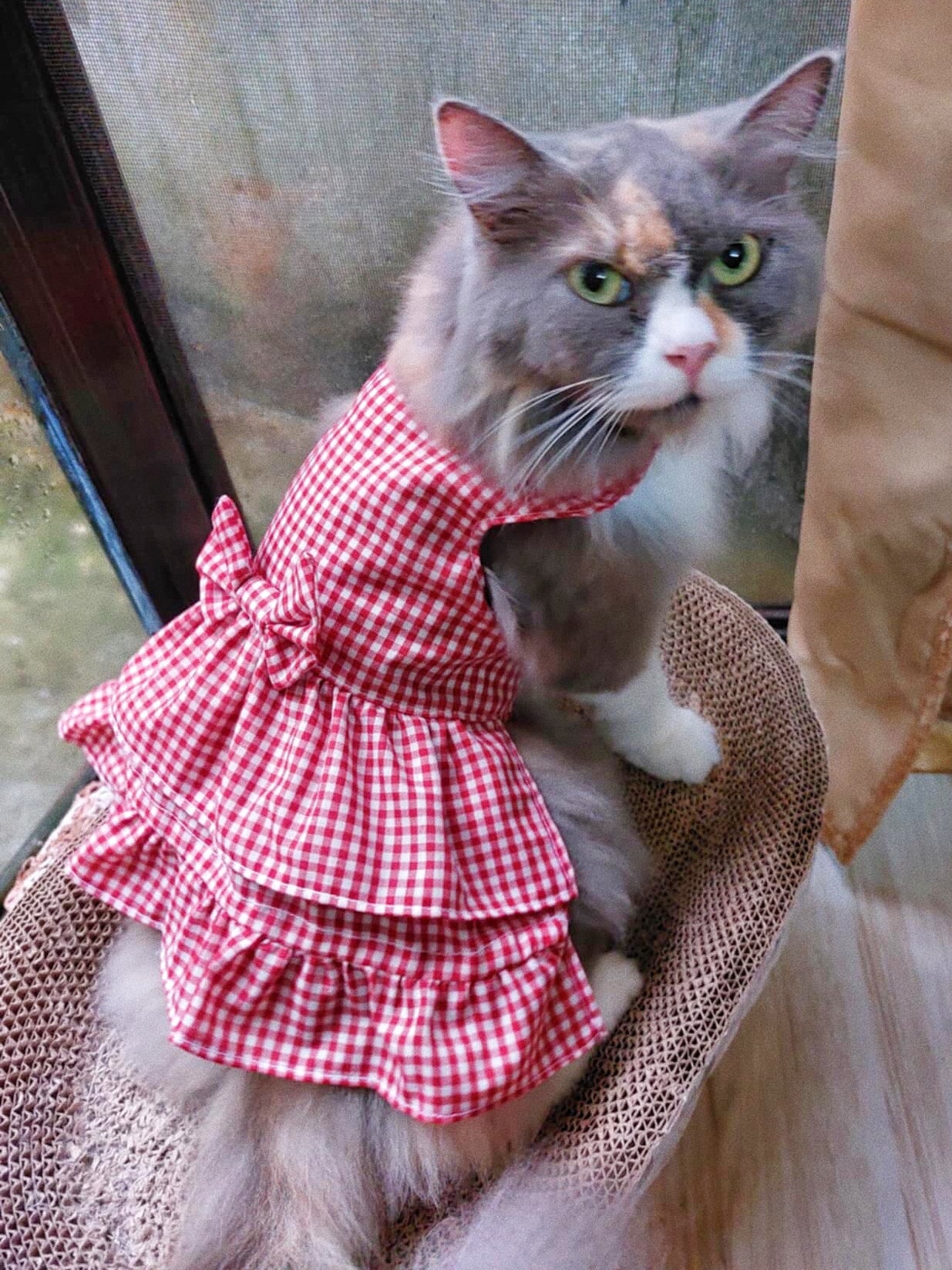 Red Gingham Pet Handmade Dress