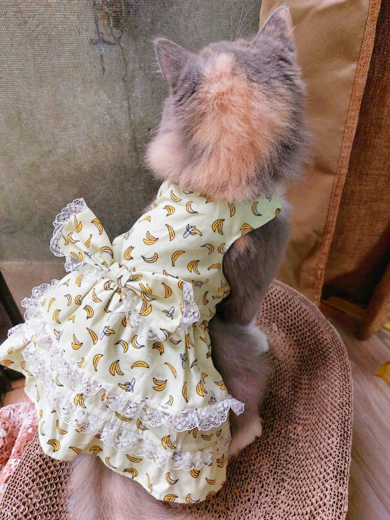 Cutie Banana Ruffle Lace Pet Handmade Dress