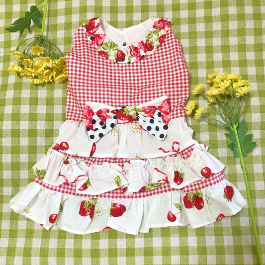 Gingham Strawberry Pet Handmade Dress