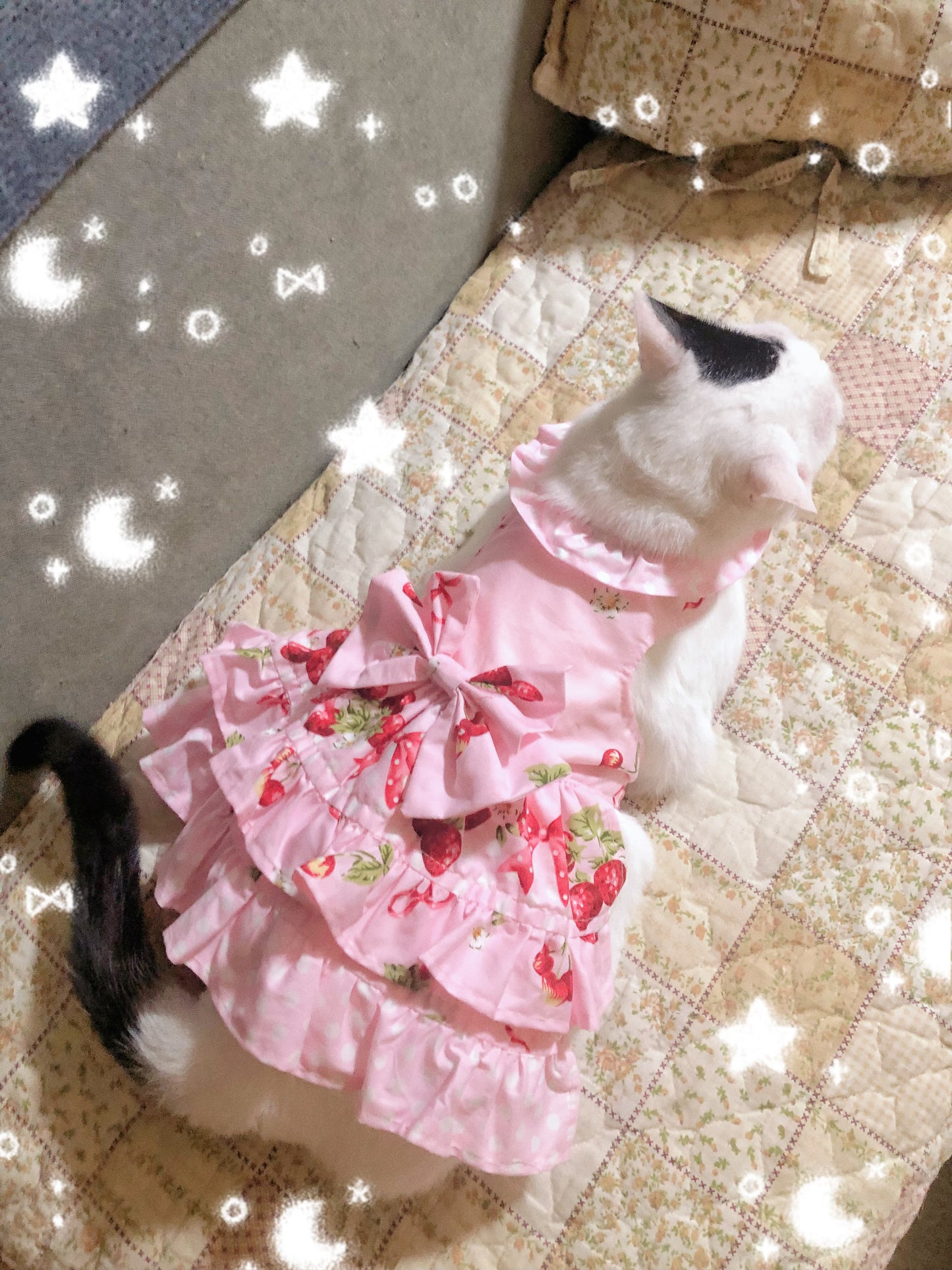 Strawberry Cotton Pet Handmade Dress