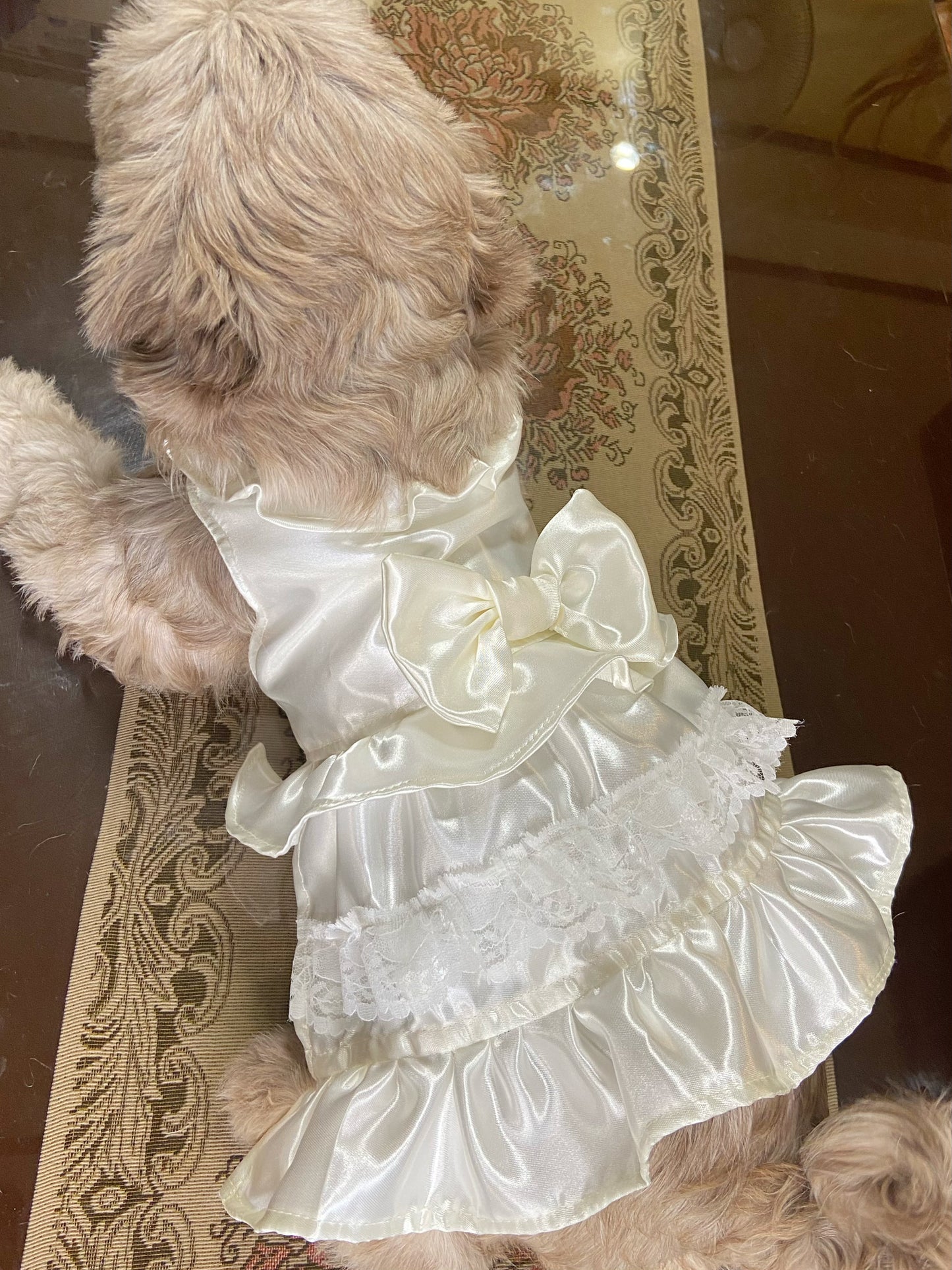 Bridal Pet Handmade Dress