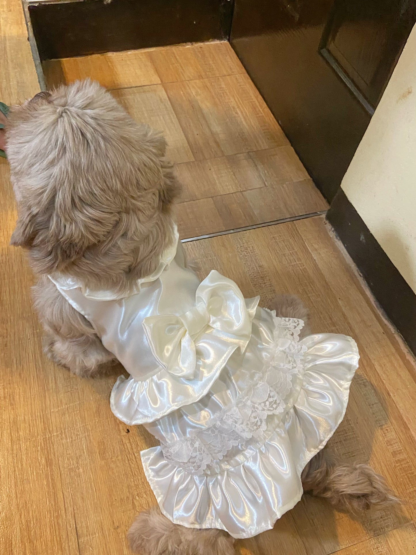 Bridal Pet Handmade Dress