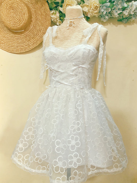 The White Swan Handmade Dress