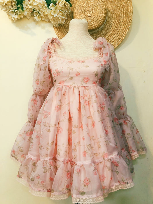 Enchanted Rose Babydoll Handmade Dress